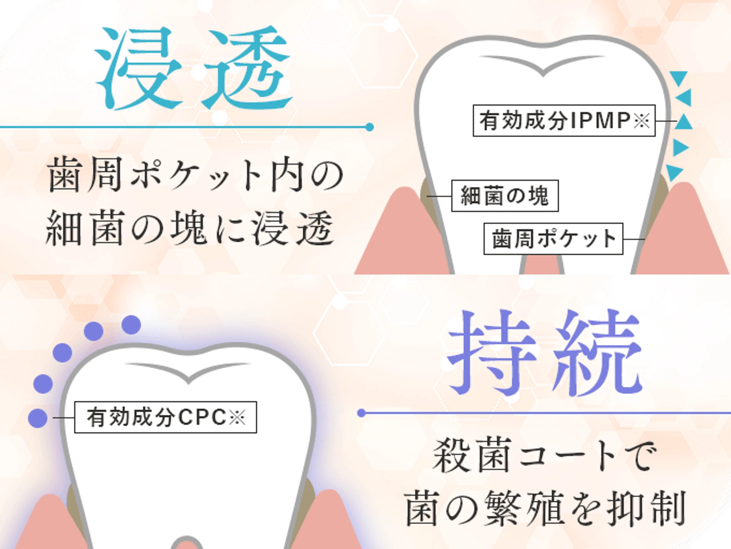 W殺菌成分